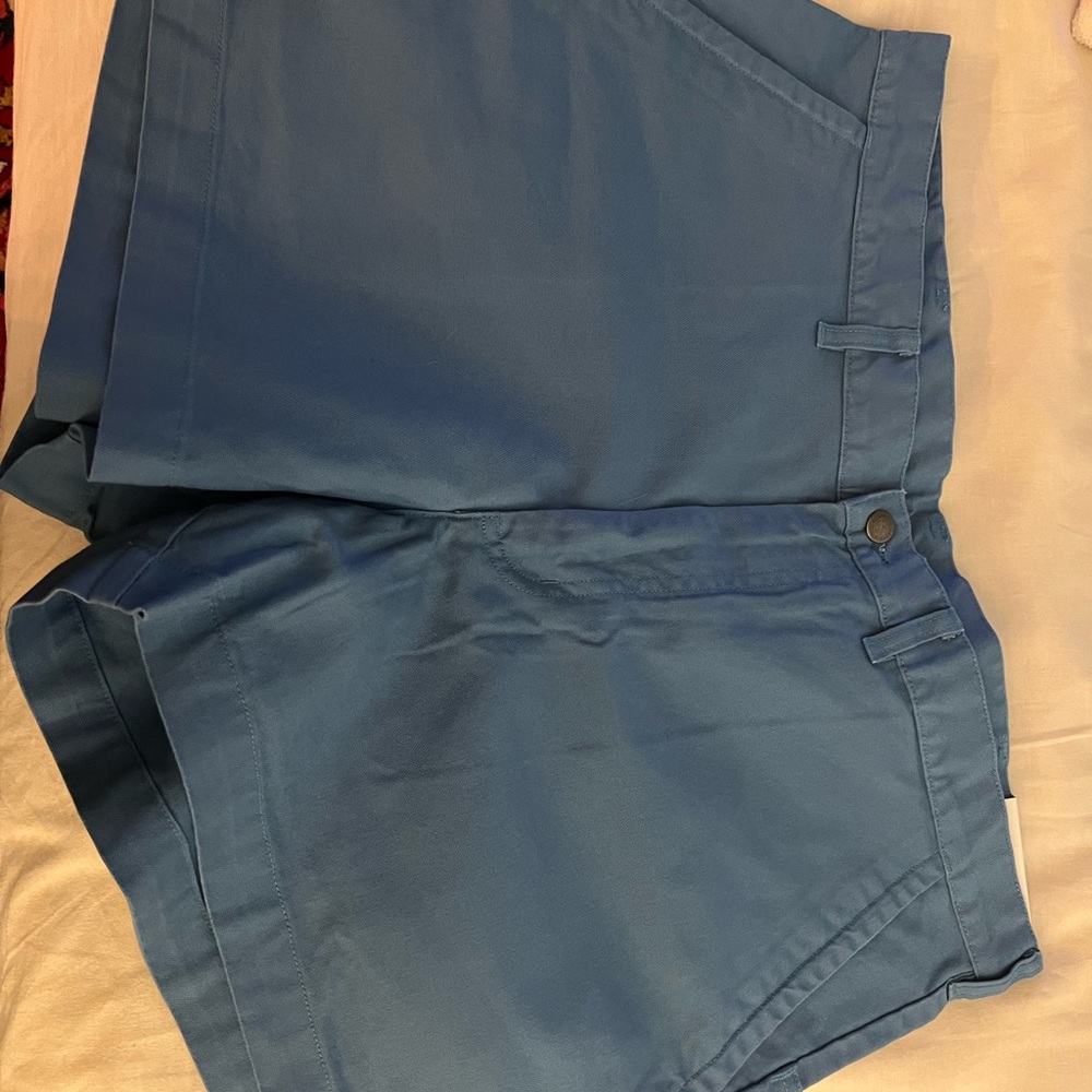 Patagonia standup shorts